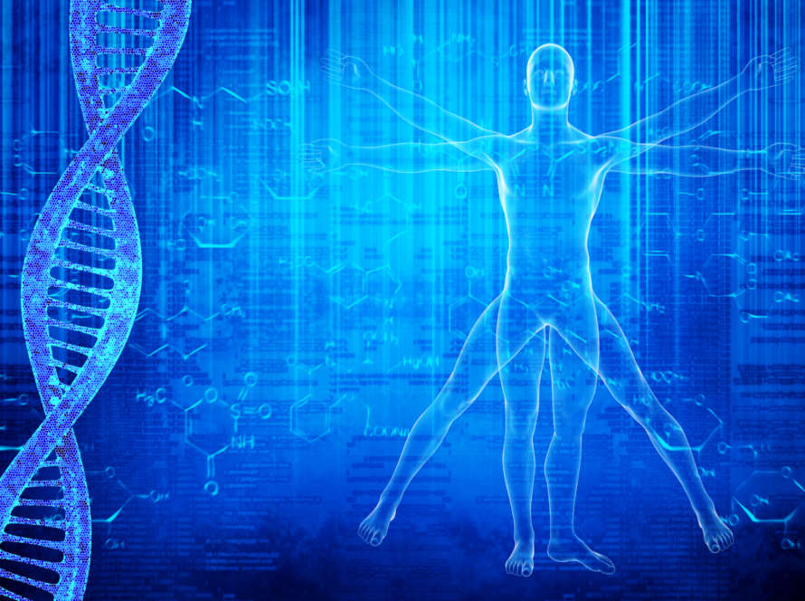 DNA molecules and virtuvian man - concept image for how long do opioids stay in your system